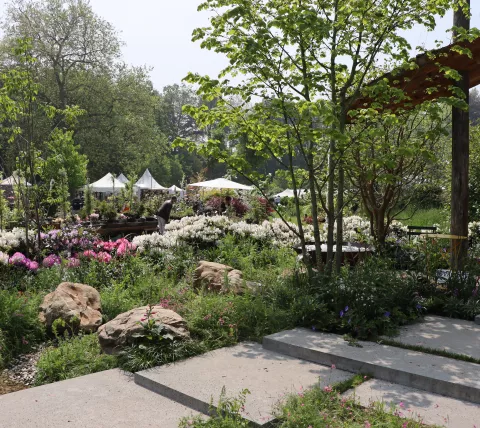 Tuin Beervelde